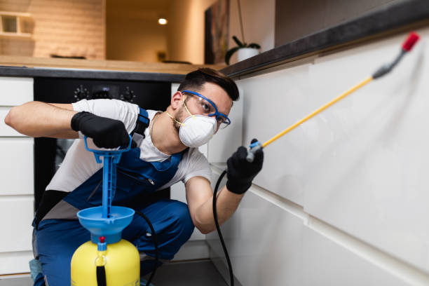 Flea Control Services in Ocala, FL