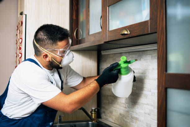 Best Residential Pest Control  in Ocala, FL