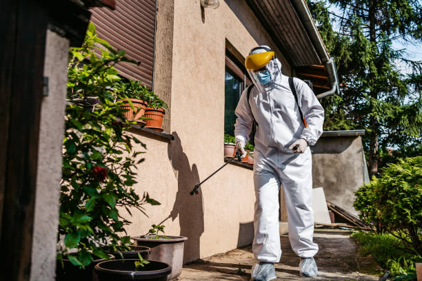 Best Spider Control Near Me  in Ocala, FL