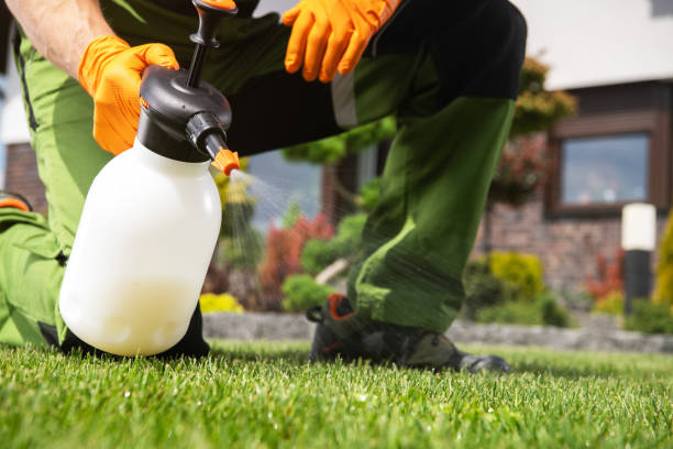 Best Pest Control for Homes  in Ocala, FL