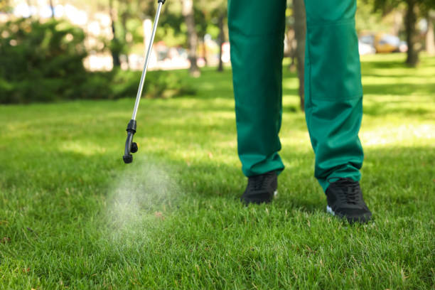 Best Local Pest Control Services  in Ocala, FL