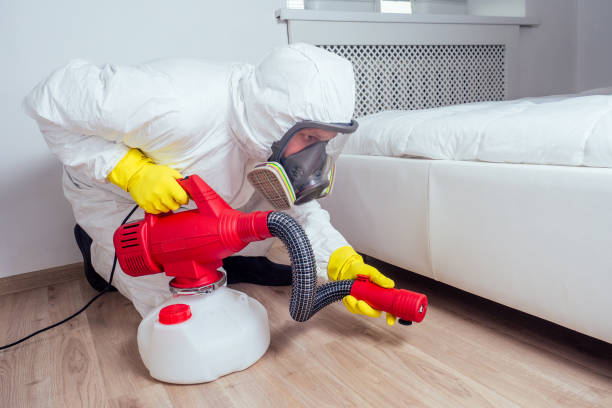 Reliable Ocala, FL Pest Control Solutions