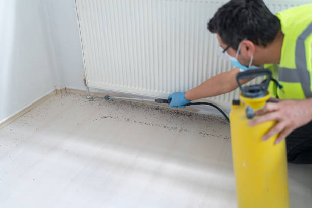 Best Pest Inspection Near Me  in Ocala, FL